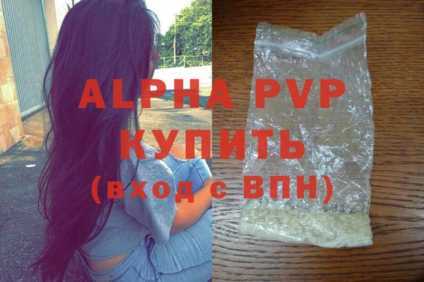 шишки Кодинск