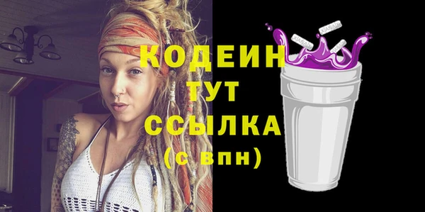 шишки Кодинск
