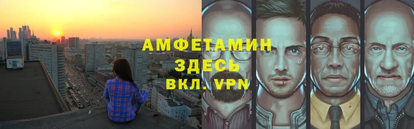 шишки Кодинск