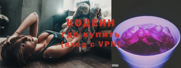 шишки Кодинск