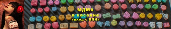 шишки Кодинск