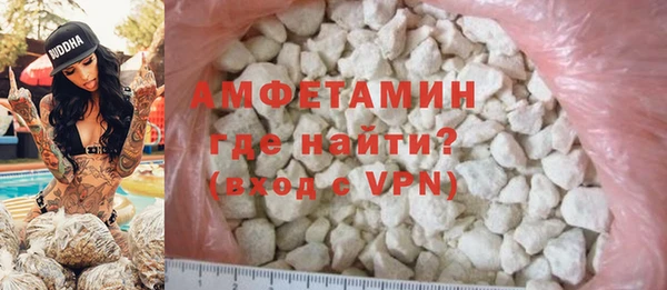 шишки Кодинск