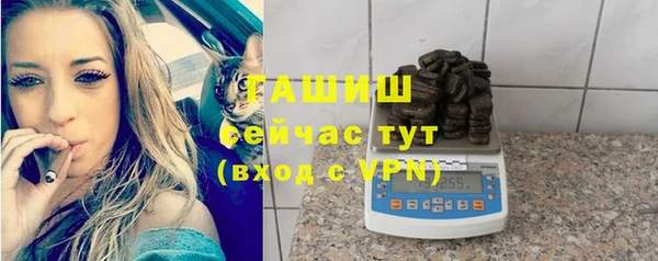 шишки Кодинск