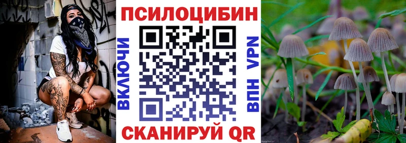 Галлюциногенные грибы Cubensis  Купить закладки  Бердск 